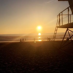 Meet your Posher, Rosa